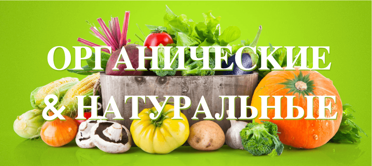 Bottva.ru: как увеличить трафик в 5 раз за год